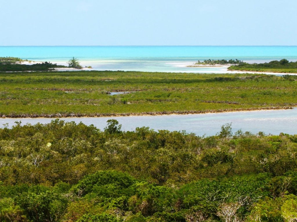 Alba Drive 860 & 861, Exuma & Exuma Cays Property Listing MLS® 52432