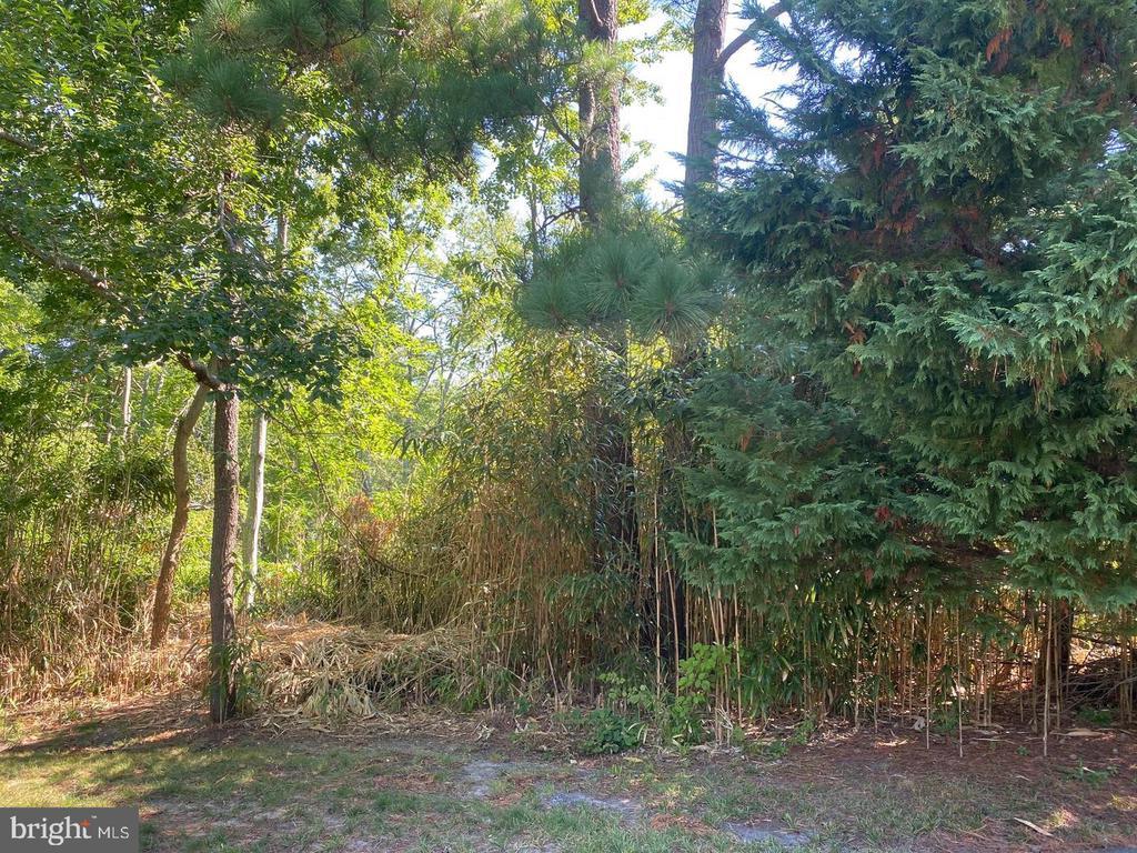 Land for sale in REHOBOTH BEACH DE at 106 Munchy Ct