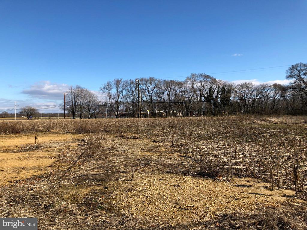 1444 Harding Highway, FRANKLINVILLE NJ FRANKLINVILLE Lots/Land Homes
