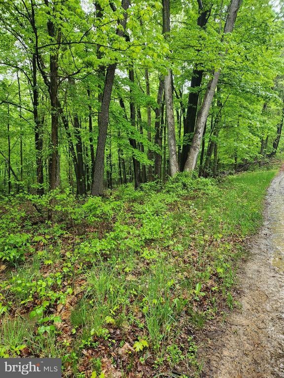 Mosquito Hollow Rd, SIX MILE RUN PA SIX MILE RUN Lots/Land Homes For Sale