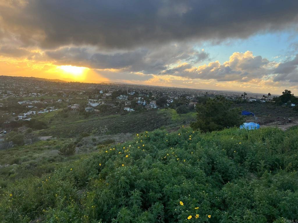 Grand Avenue, SPRING VALLEY