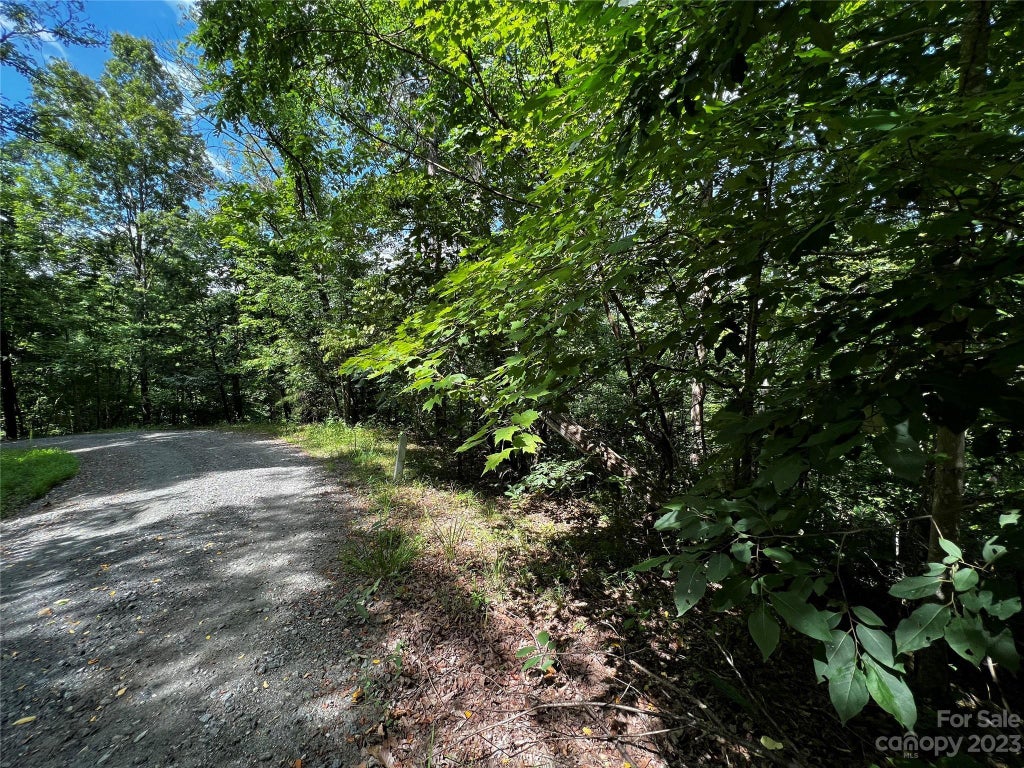 Bills Creek Road, Lake Lure Property Listing: MLS® #4052515