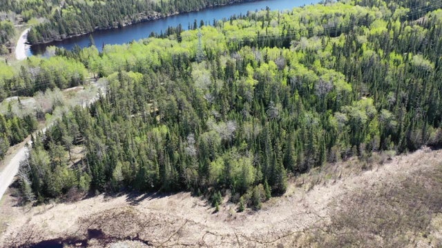 Photo of Listing #TB213315