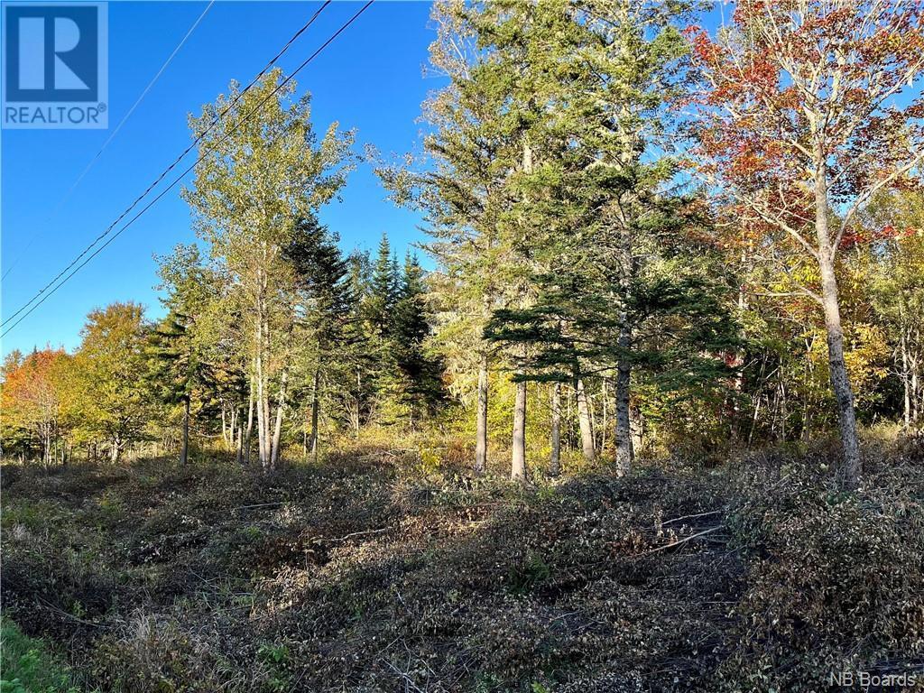 Keller Williams Capital Realty Sussex, NB