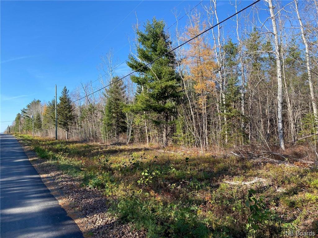 All Property Types in Baiesainteanne & more... Page 12