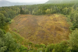 3107 Trinity Valley Road. Enderby, British Columbia