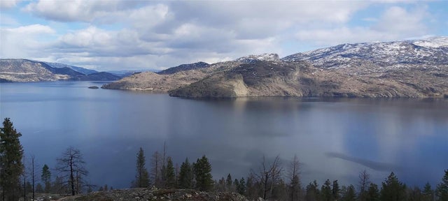 Линолеум mystery lake 0097