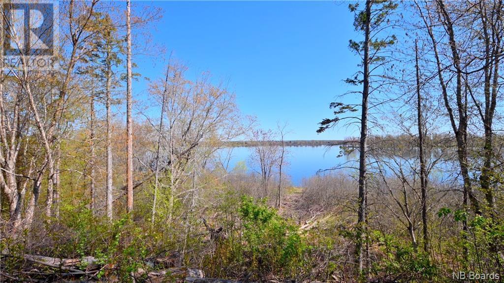 Keller Williams Capital Realty Fredericton, NB