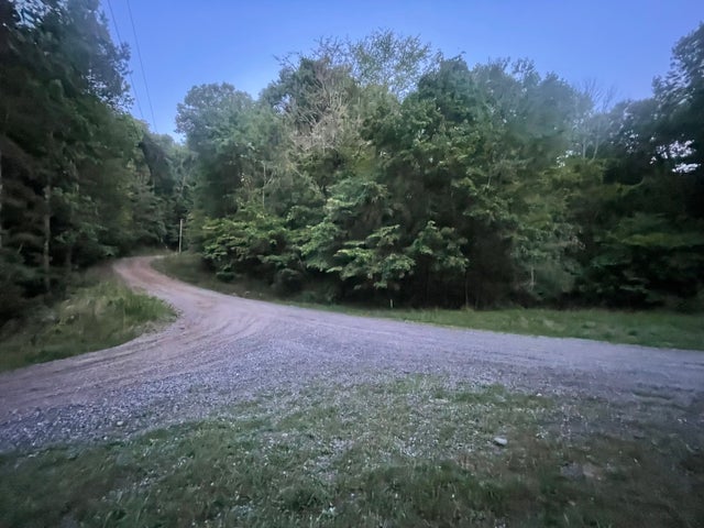 Photo of Listing #10183453