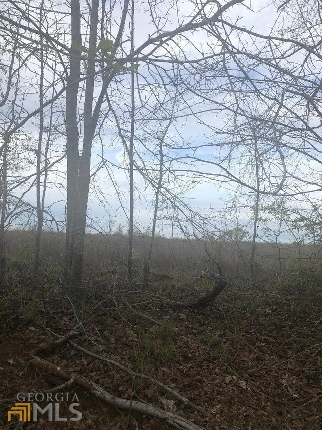 Photo of Listing #20109146