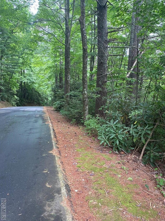 Homes for Sale in Lake Toxaway, North Carolina