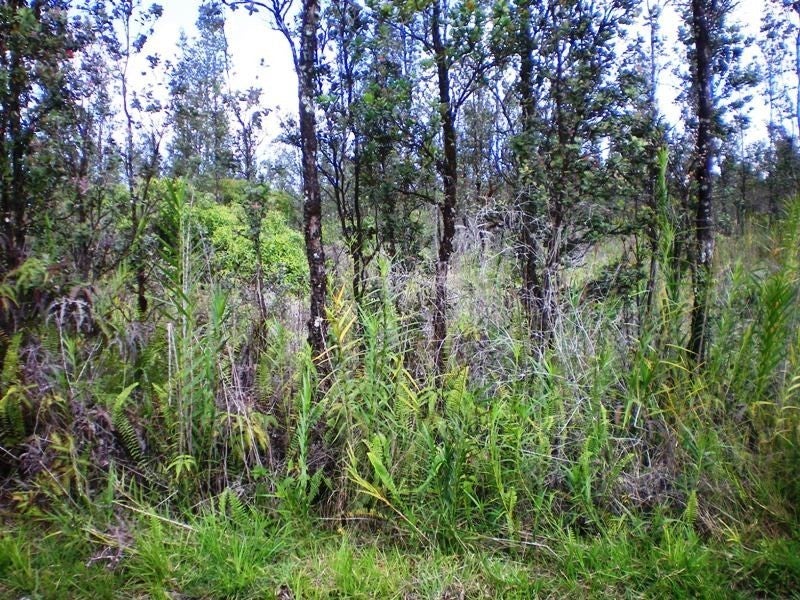 Hawaii's Eden Roc Estates Lot 1 in HAWAII'S EDEN ROC ESTATES MLS