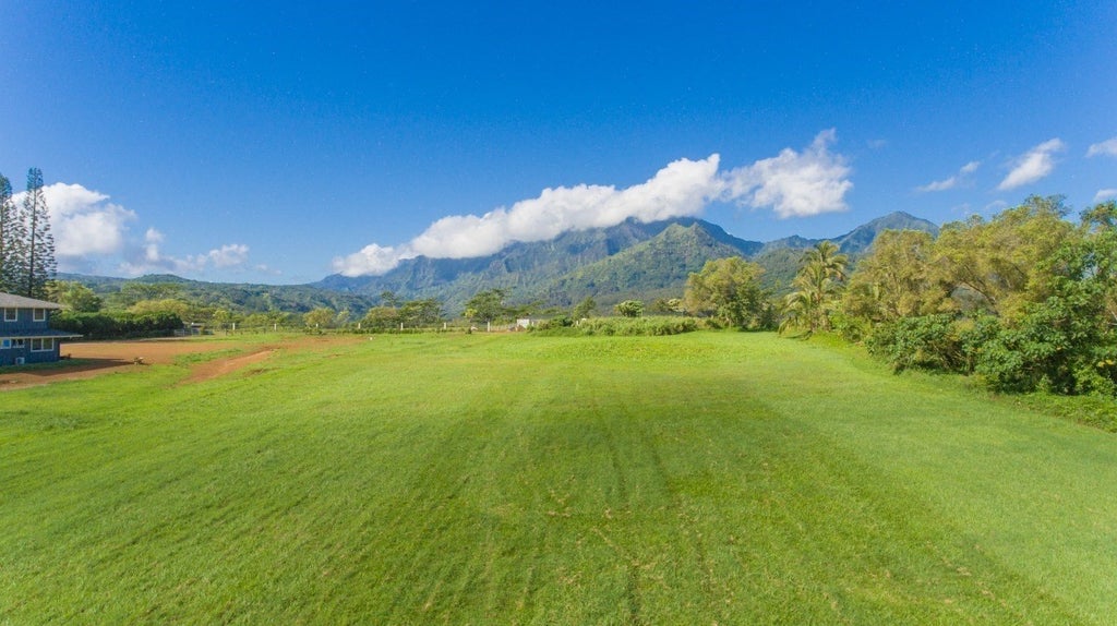 KAPAKA MELE 1 in PRINCEVILLE AT HANALEI MLS® 655970 For Sale