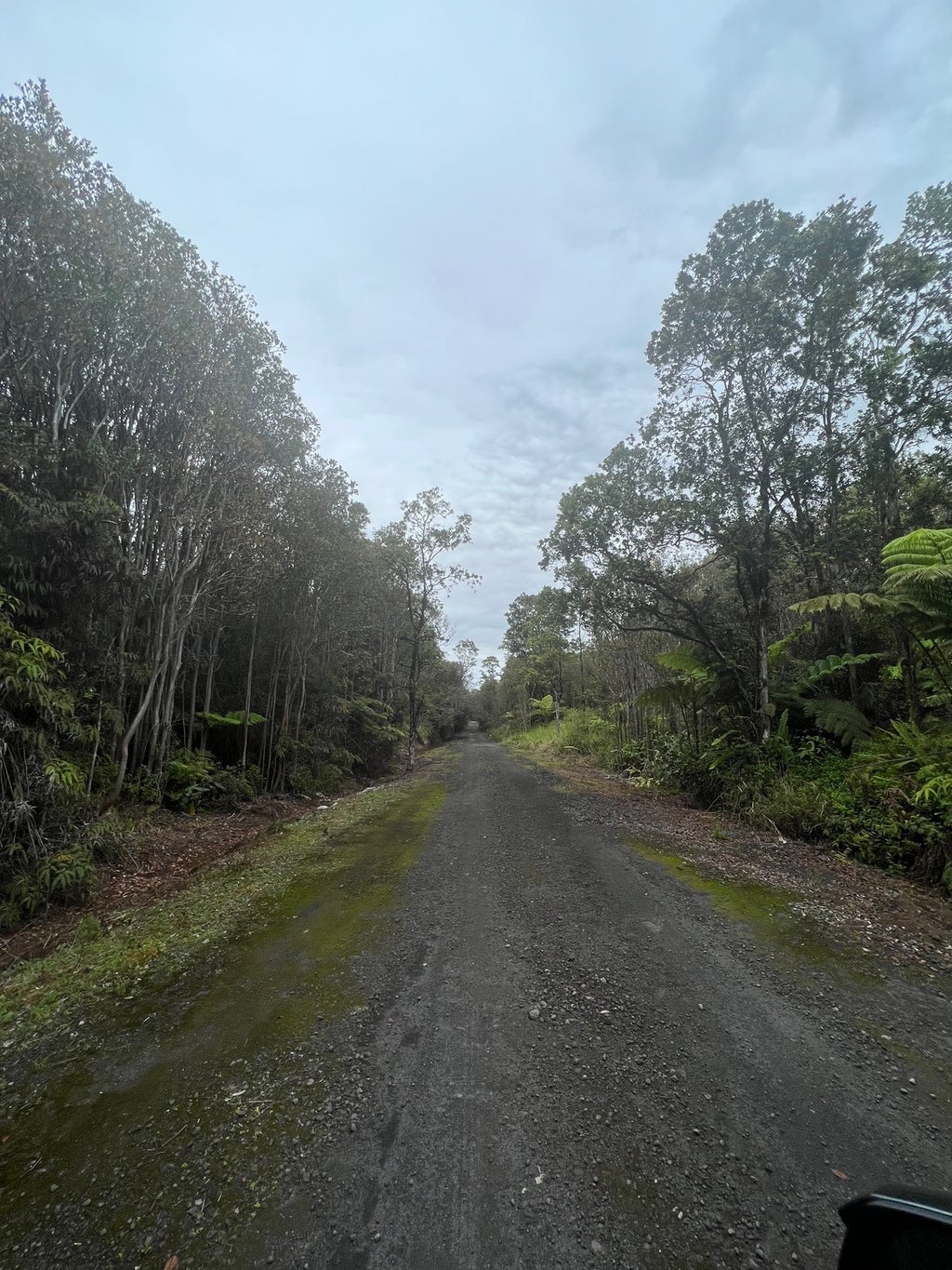 Road 7 in GLENWOOD GARDENS AKA ORCHID ISLE ESTATES MLS® 657940 For