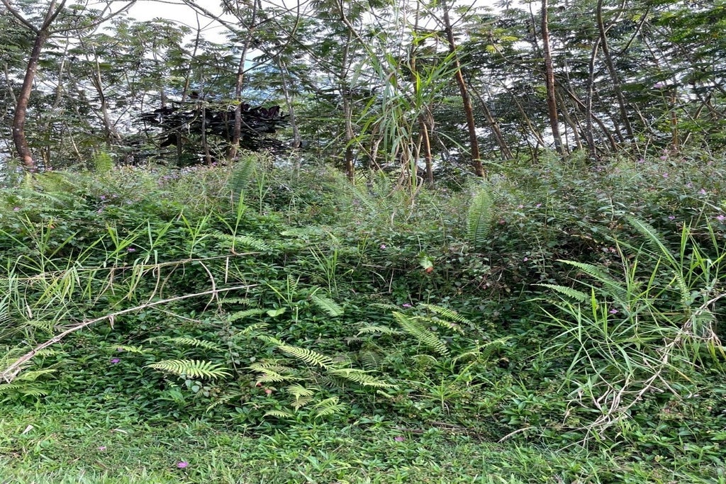 Pikake Rd in NANAWALE ESTATES SUBDIVISION MLS® 659887 For Sale 9,000