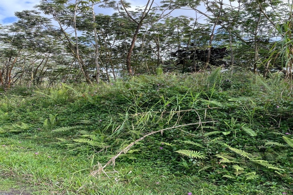 Pikake Rd in NANAWALE ESTATES SUBDIVISION MLS® 659887 For Sale 9,000