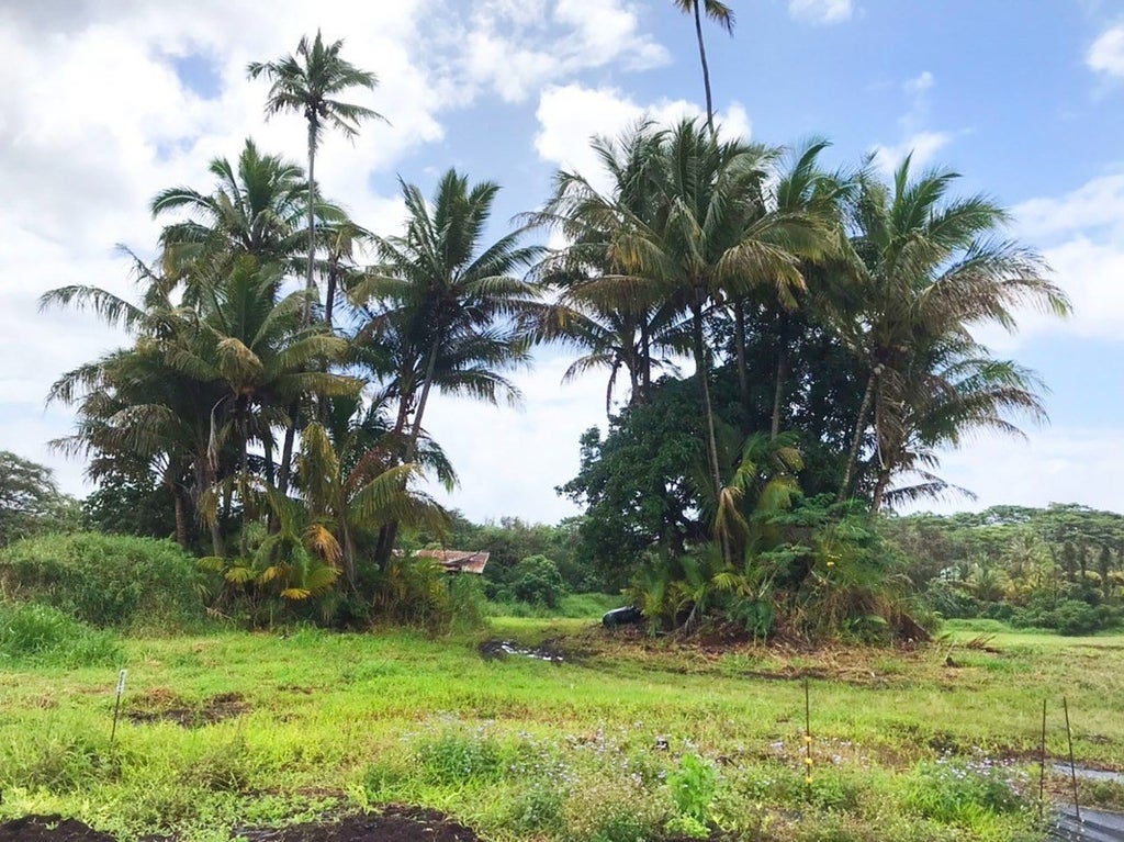 Opihikao Rd in KAMAILI MLS® 660671 For Sale 385,000 in Puna, Hawaii