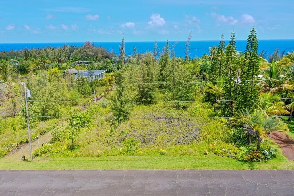 12143 Oliana Dr in PUNA BEACH PALISADES MLS® 661782 For Sale