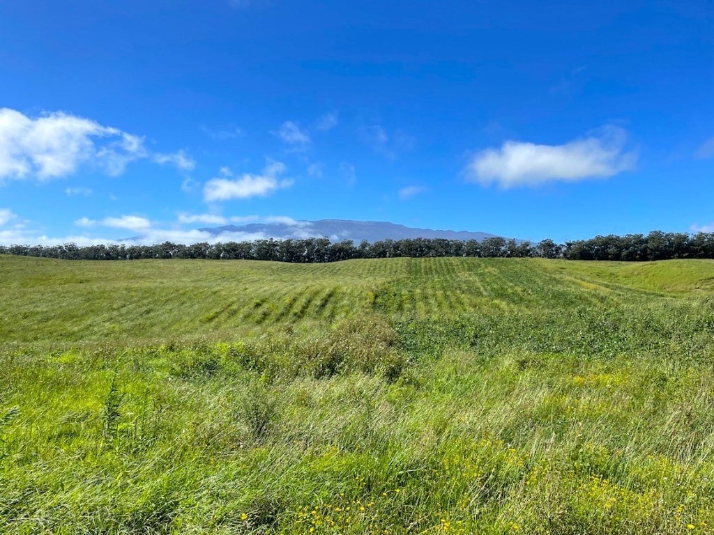 Lot 6 in MLS® 662799 For Sale 1,680,000 in Hamakua, Hawaii