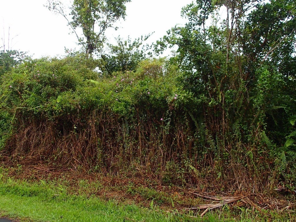 Maile St in LEILANI ESTATES MLS® 664650 For Sale 24,000 in Puna, Hawaii