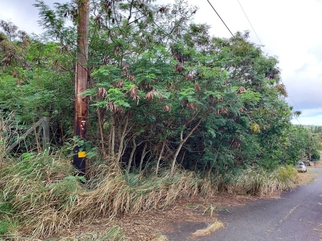 Pua St in GREEN SAND SUBDIVISION MLS® 664651 For Sale 29,999 in Kau