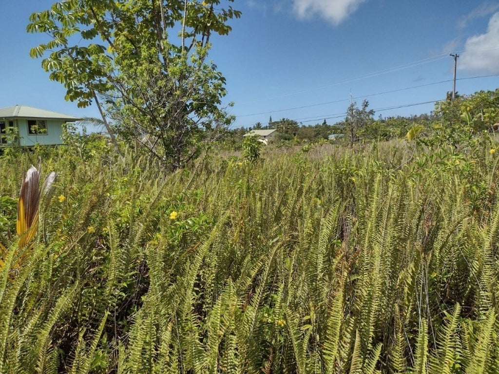 Moanauli Lp in KALAPANA SEA VIEW ESTATES MLS® 664931 For Sale 60,000