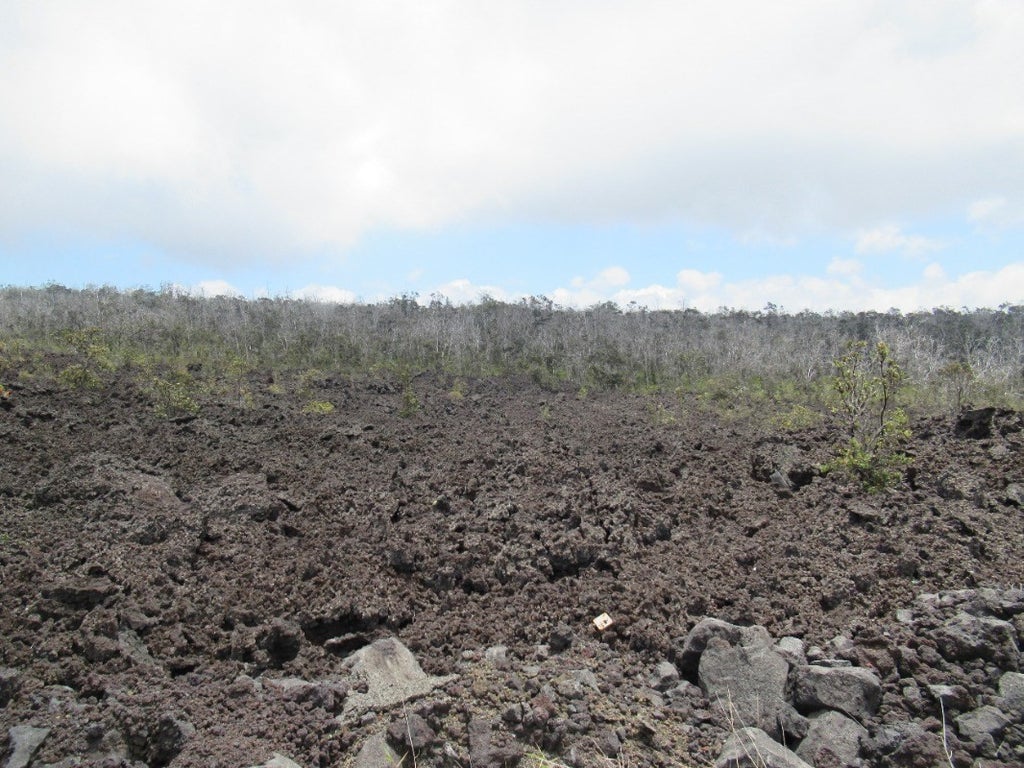 Trade Wind Blvd in HOVE MLS® 665122 For Sale 11,000 in Kau, Hawaii