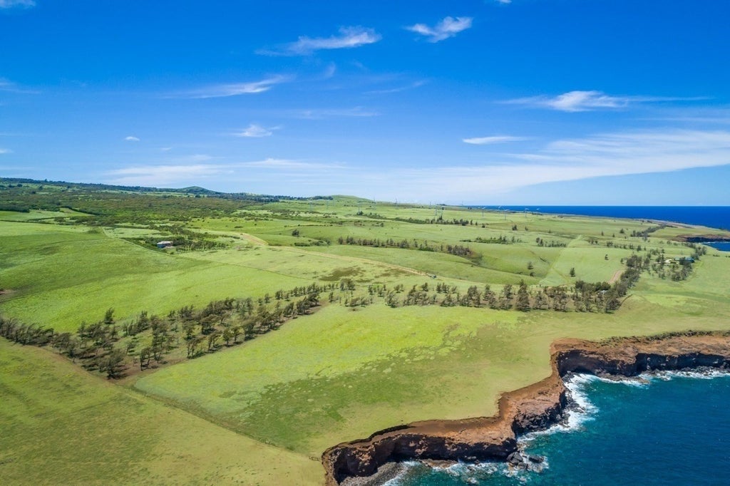 Hoea Rd In Mls For Sale In North Kohala Hawaii