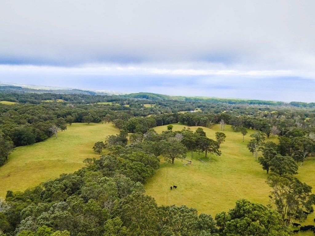 Kukaiau Ranch Company in KUKAIAU RANCH COMPANY MLS® 665387 For Sale