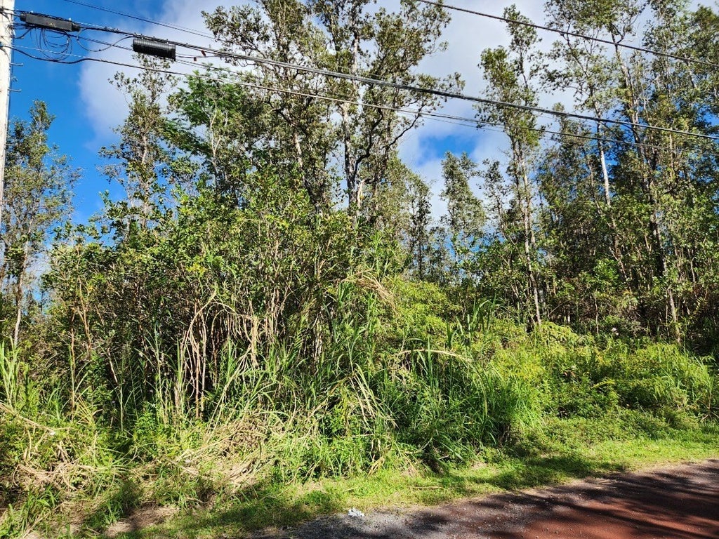 Orchid Dr in AINALOA MLS® 666334 For Sale 42,000 in Puna, Hawaii