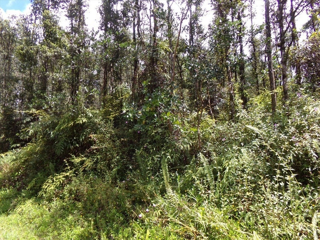 Lehua Rd in NANAWALE ESTATES SUBDIVISION MLS® 666523 For Sale 9,000