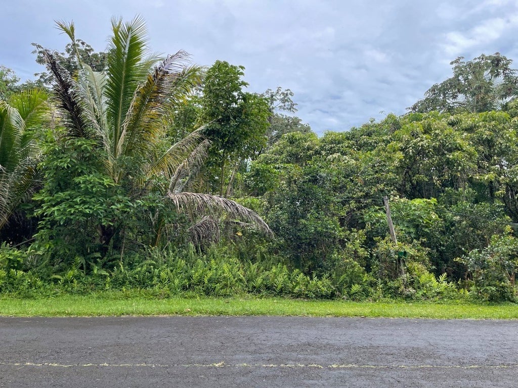 Kamoamoa St in KALAPANA SEA VIEW ESTATES MLS® 666666 For Sale 65,000