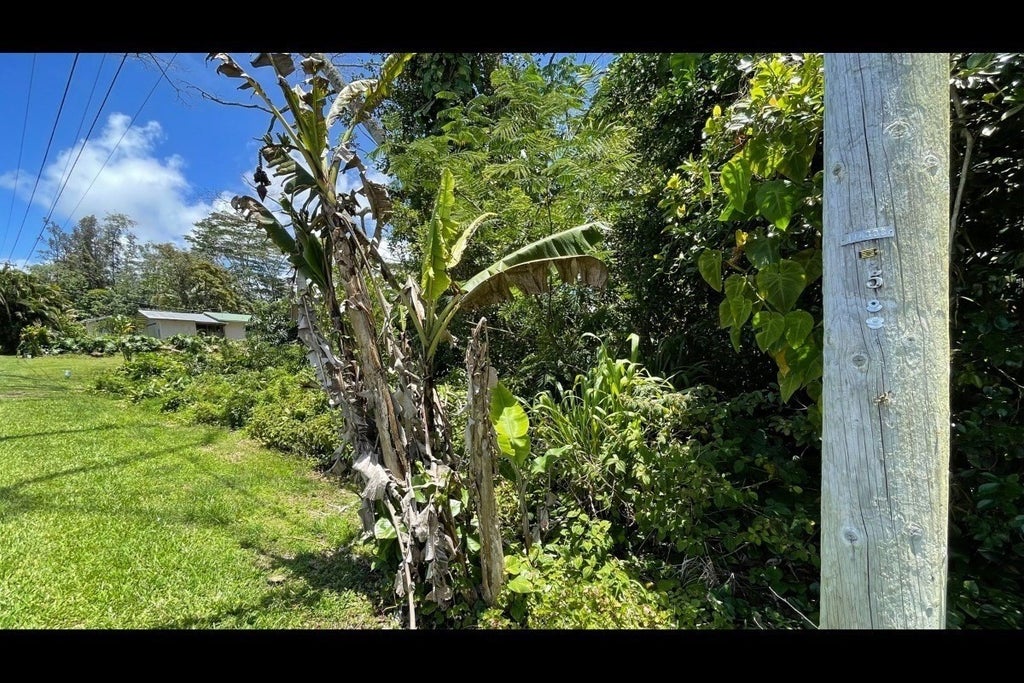 Kaku St in HAWAIIAN BEACHES SUBDIVISION MLS® 666816 For Sale 23,000