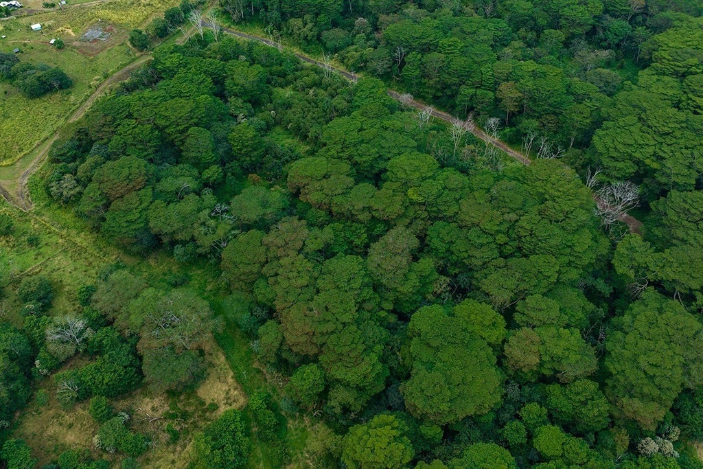 Keaau Tract lot 26A Keaau Tract in KEAAU TRACT MLS® 666863 For Sale