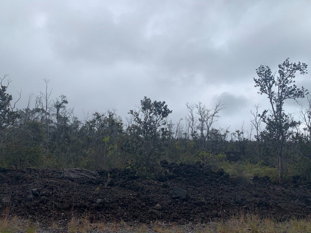 Trade Wind Blvd in HOVE MLS® 666903 For Sale 12,000 in Kau, Hawaii