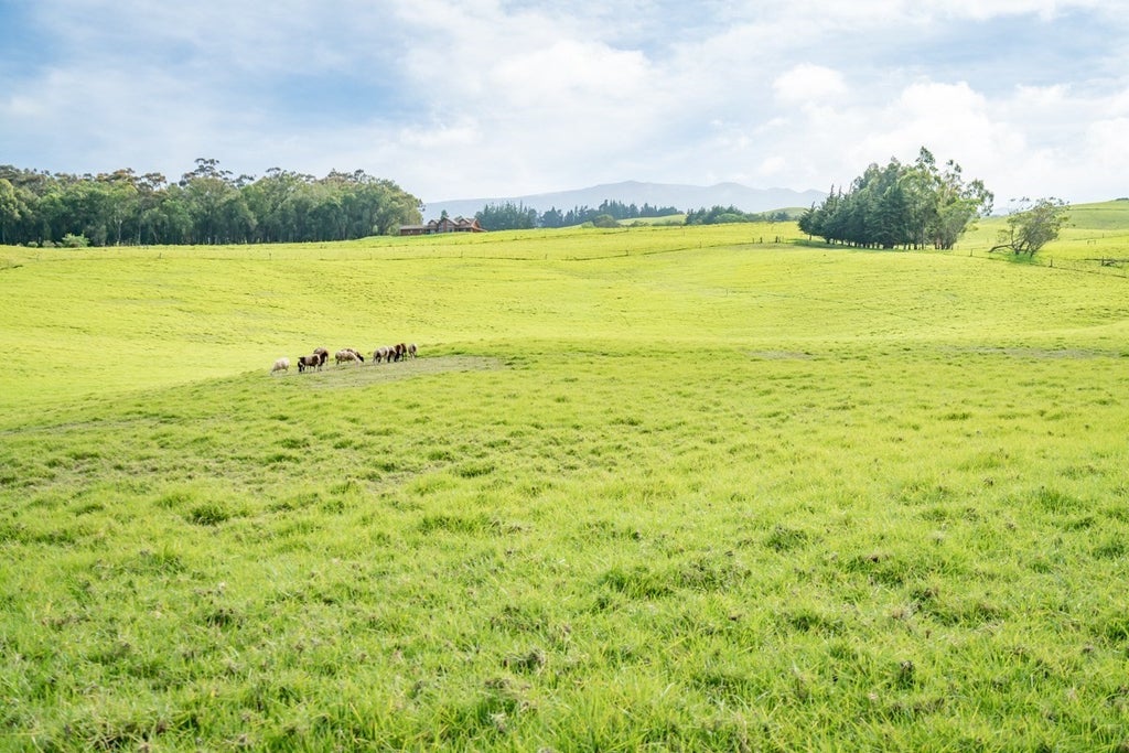 671045 Wainoenoe Rd in WAIKII RANCH MLS® 666925 For Sale 612,000 in