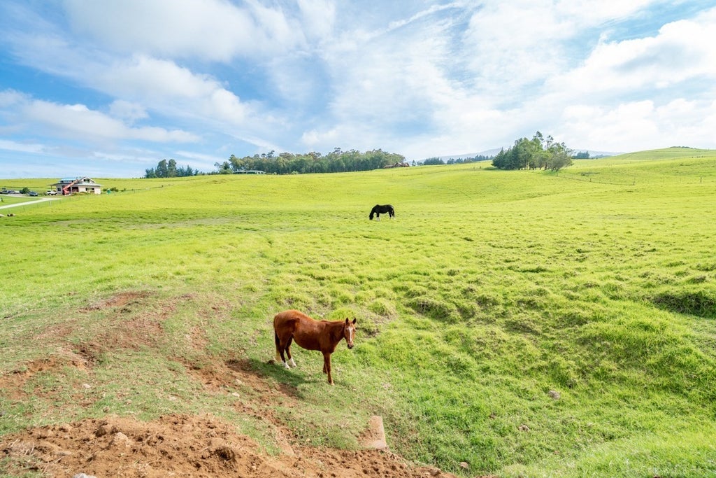 671045 Wainoenoe Rd in WAIKII RANCH MLS® 666925 For Sale 612,000 in