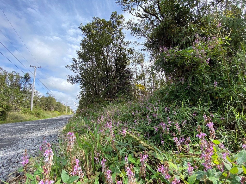 Makoa Rd in FERN FOREST VACATION ESTATES MLS® 666937 For Sale 34,000