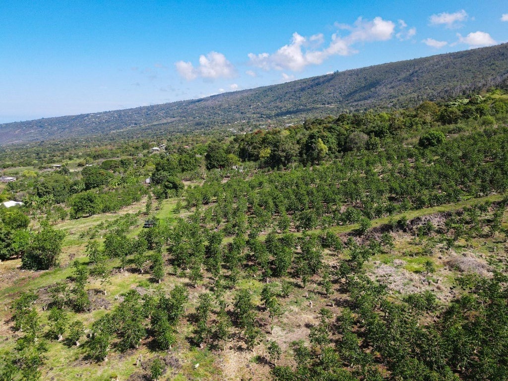 845180 Hawaii Belt Rd in HONAUNAU MLS® 667203 For Sale 345,000 in