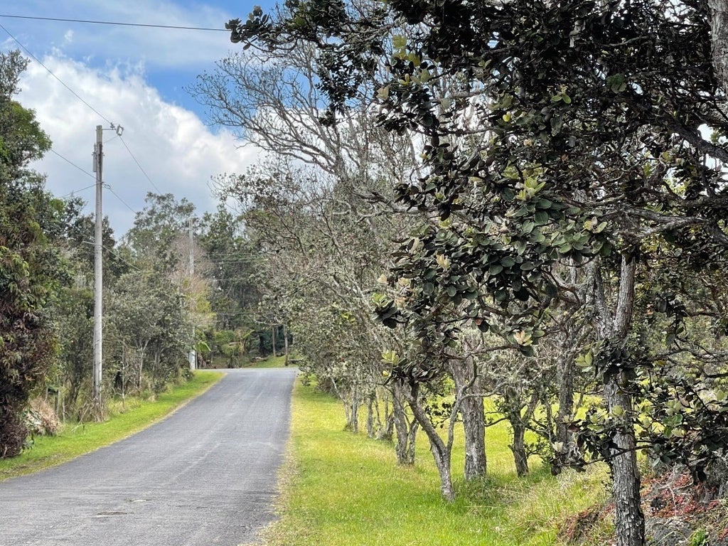 Volcano Cymbidium Acres 194273 Kekoanui Blvd in VOLCANO CYMBIDIUM ACRES MLS® 667605 For Sale