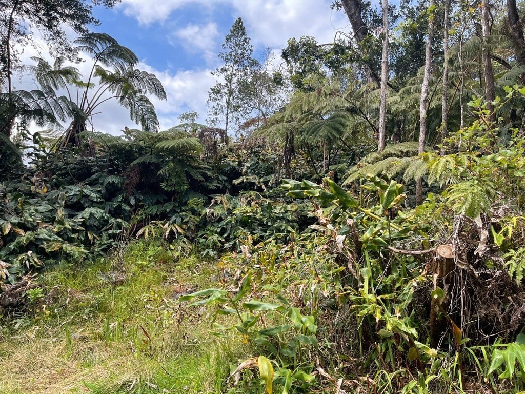 Volcano Cymbidium Acres 194273 Kekoanui Blvd in VOLCANO CYMBIDIUM ACRES MLS® 667605 For Sale