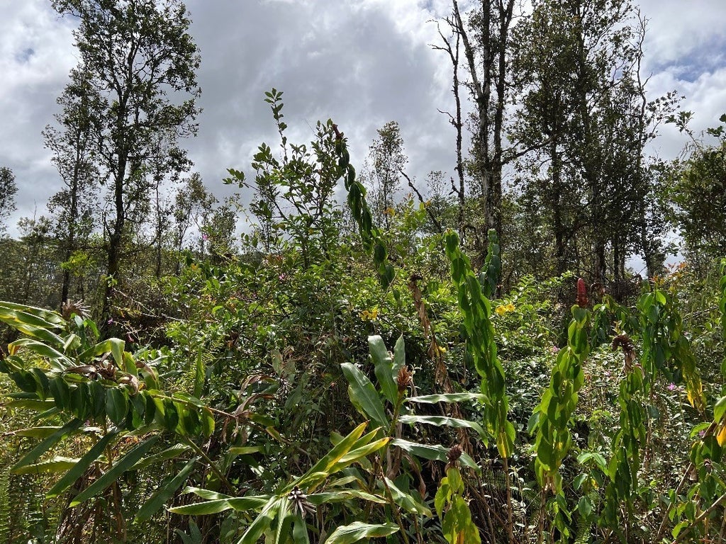 Pikake Rd in NANAWALE ESTATES SUBDIVISION MLS® 668151 For Sale 9,500