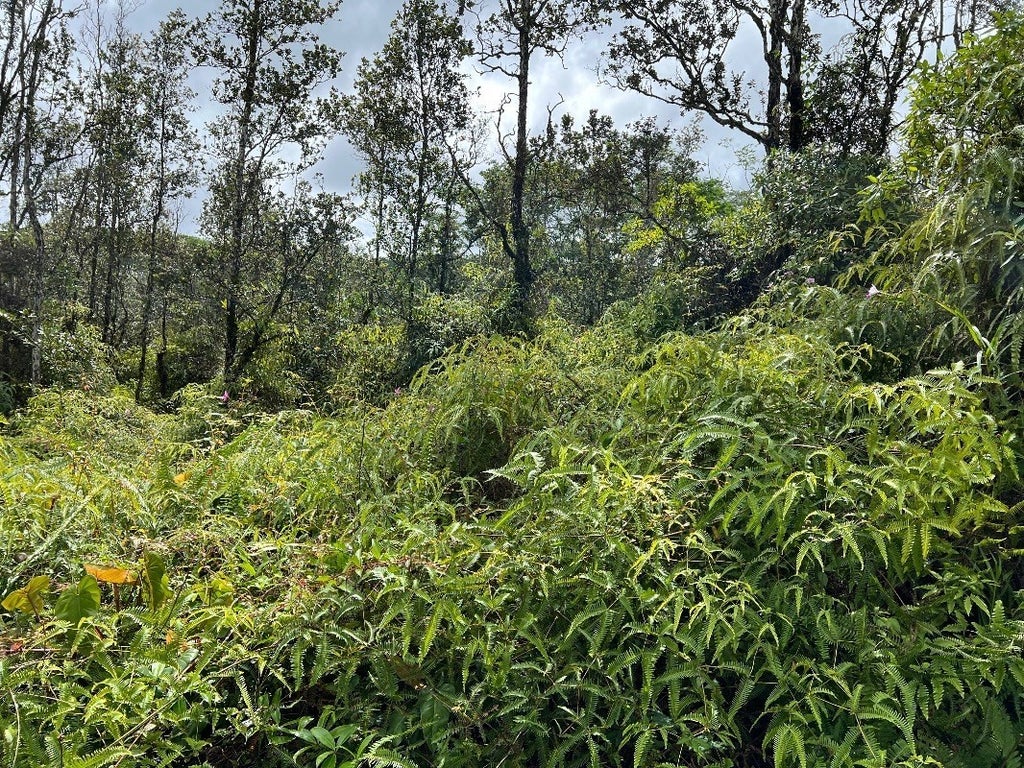 Pikake Rd in NANAWALE ESTATES SUBDIVISION MLS® 668151 For Sale 9,500