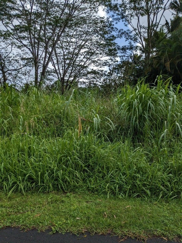 Alapai St in LEILANI ESTATES MLS® 668464 For Sale 60,000 in Puna, Hawaii