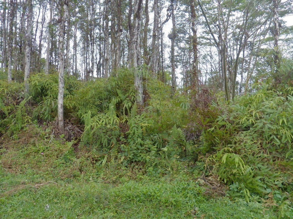 Lanai Rd in NANAWALE ESTATES SUBDIVISION MLS® 668710 For Sale 6,750