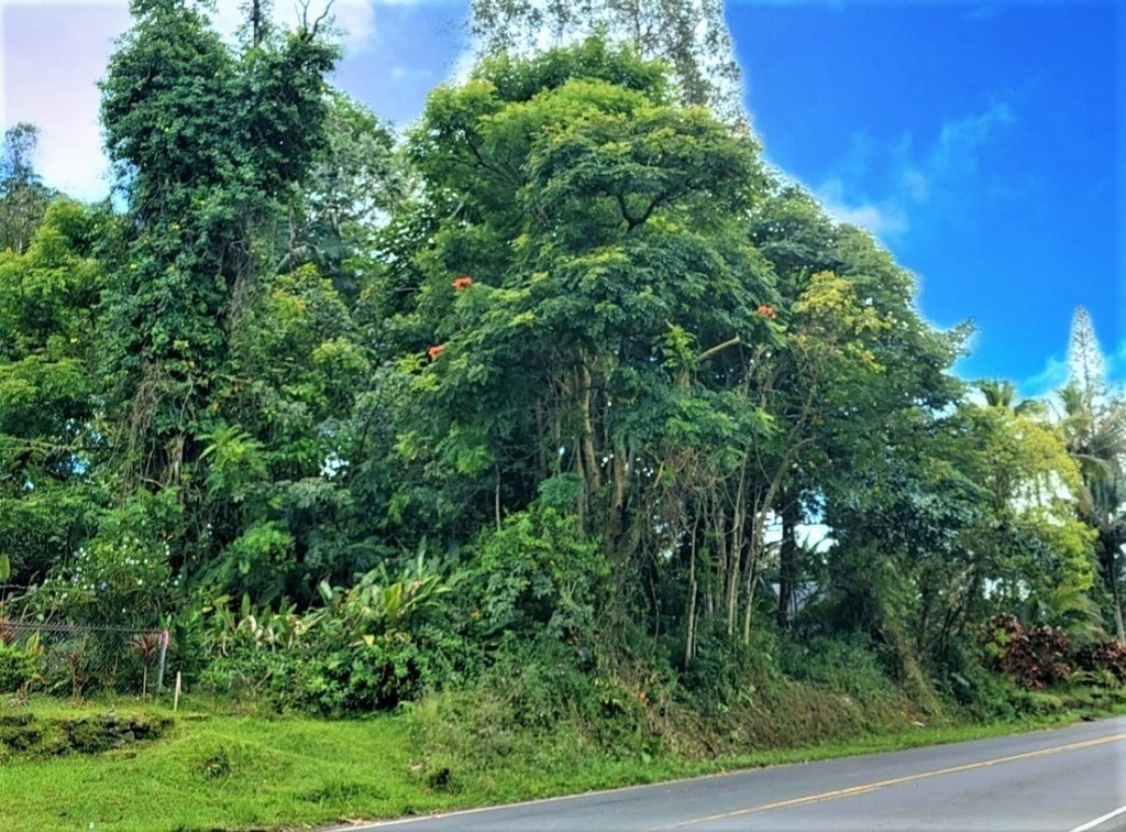 Nanawale Blvd in NANAWALE ESTATES SUBDIVISION MLS® 668766 For Sale