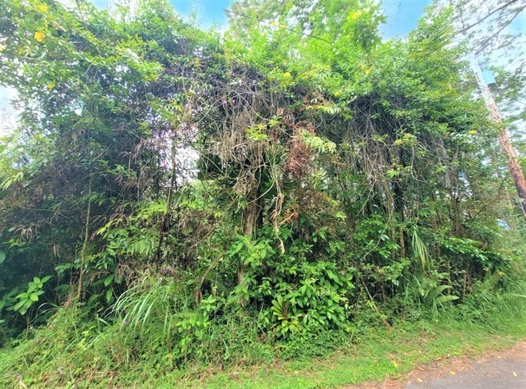 Church Rd in NANAWALE ESTATES SUBDIVISION MLS® 668767 For Sale