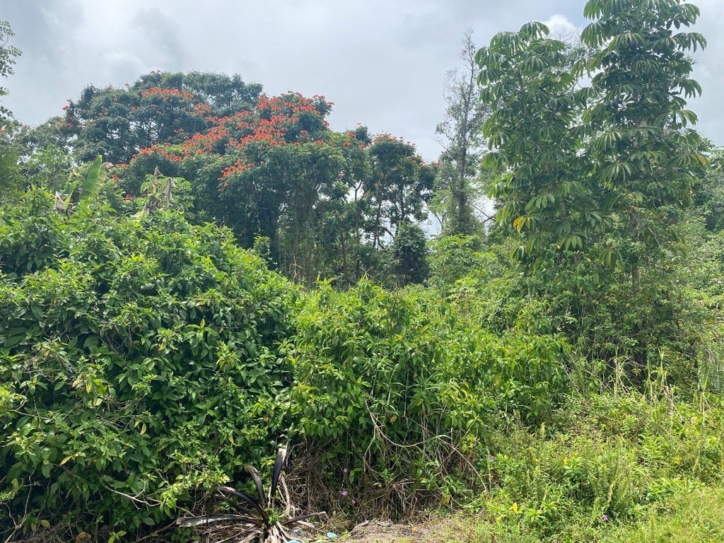 Lehua Dr in AINALOA MLS® 668895 For Sale 49,777 in Puna, Hawaii