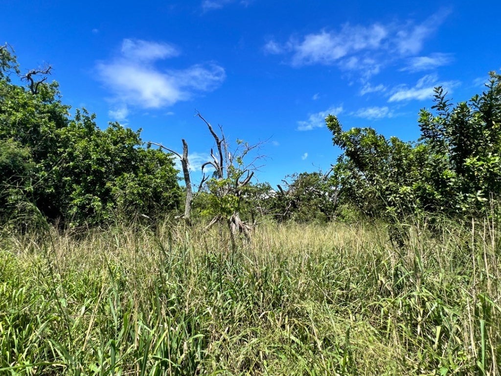 Pele St in GREEN SAND SUBDIVISION MLS® 669005 For Sale 28,000 in Kau