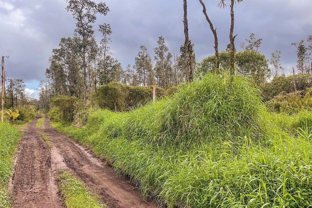 Road 7 (opeapea) in HAWAIIAN ACRES MLS® 669047 For Sale 80,000 in